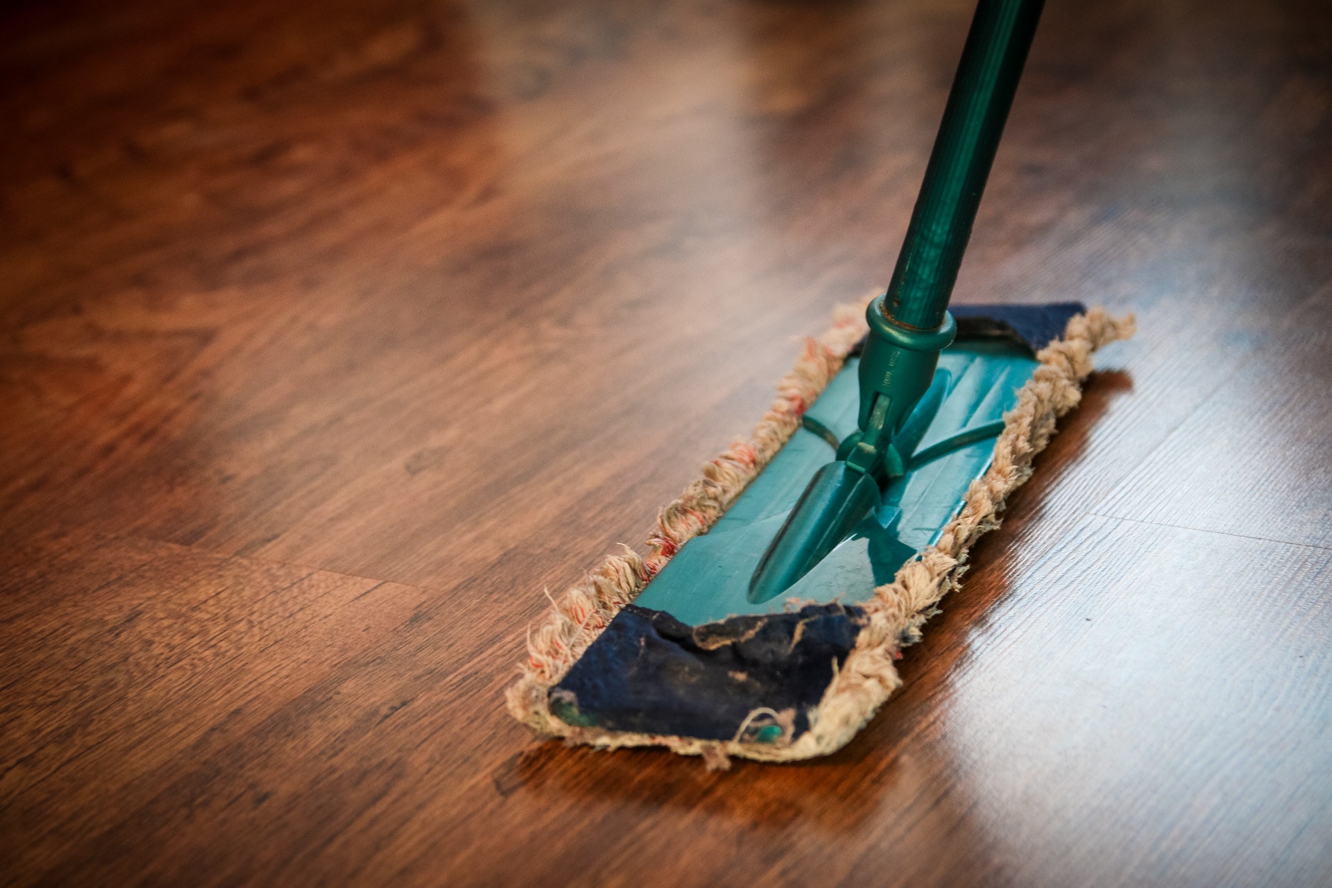 What You Should Know About Cleaning Wood Floors