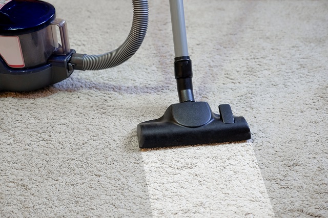 Do Businesses Need Their Carpets Professionally Cleaned